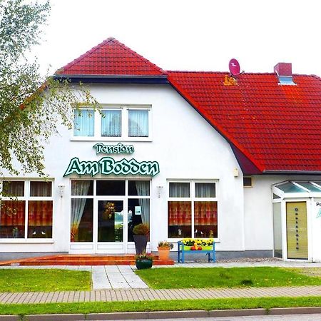 Pension Am Bodden 리브니츠 담가르텐 외부 사진
